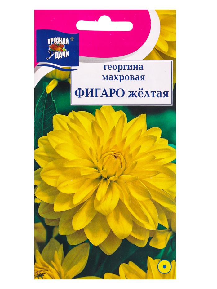 Семена цветов Георгина "Фигаро", Жёлтая, 0,05 г