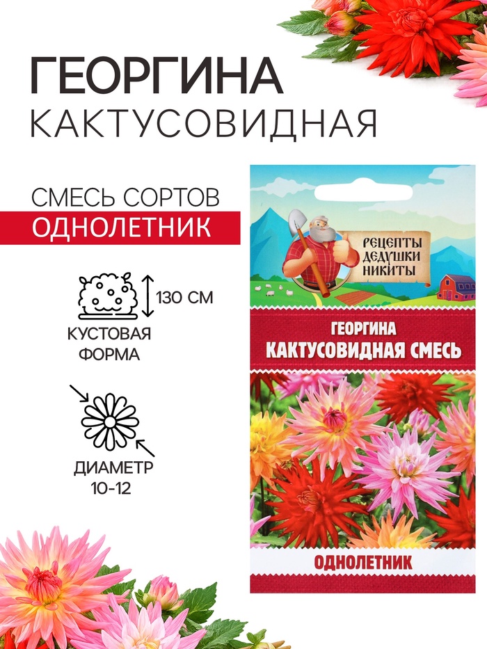Семена цветов Георгина «Кактусовидная смесь», 0.1 г, «Рецепты дедушки Никиты»