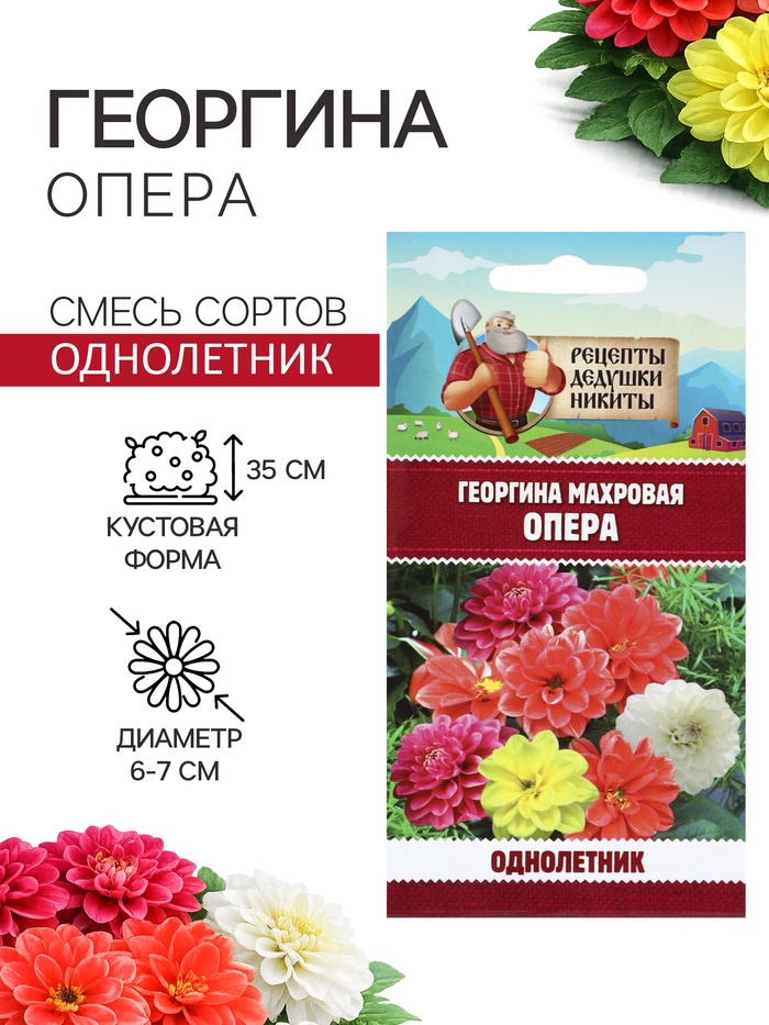 Семена цветов Георгина махровая «Опера», 0.2 г, «Рецепты дедушки Никиты»