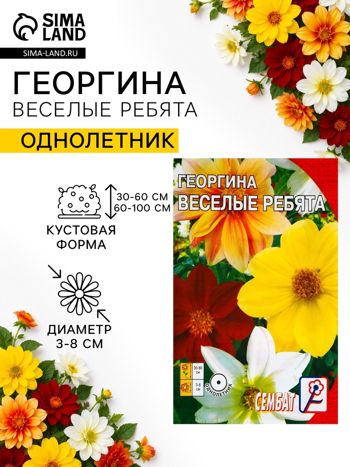 Семена цветов Георгина "Веселые ребята", О, 0,1 г