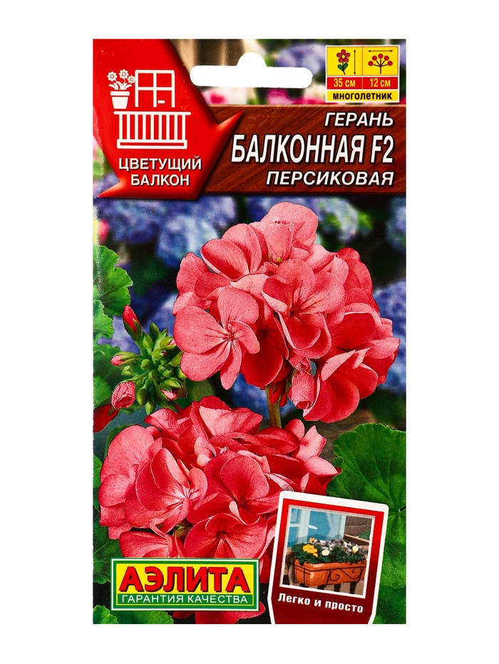 Семена цветов Герань, Балконная персиковая F2 «Цветущий балкон» 5 шт.