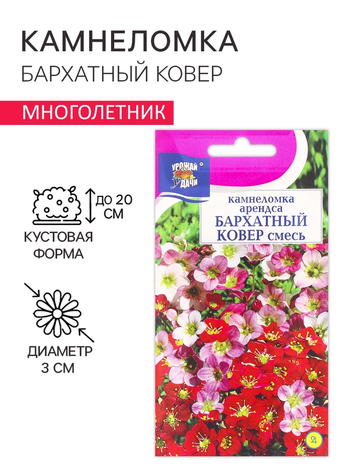 Семена цветов Камнеломка "Бархатный ковер", 0,01 г