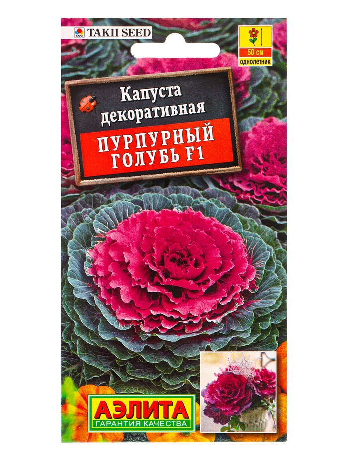 Семена цветов Капуста декоративная «Пурпурный голубь» F1, 7 шт.