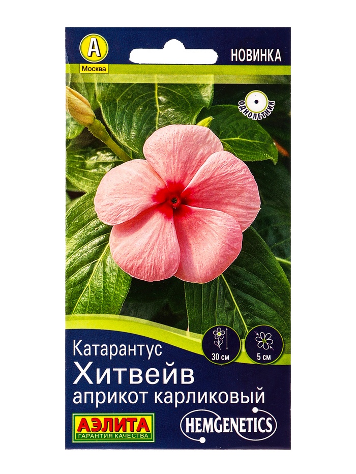 Семена цветов Катарантус «Хитвейв» априкот карликовый, Спецсерия, Hem Genetics, 5 шт.