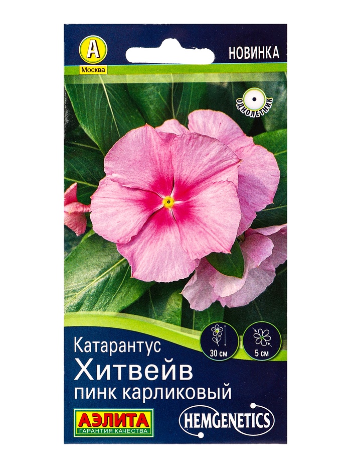 Семена цветов Катарантус «Хитвейв» пинк карликовый, Спецсерия, Hem Genetics, 5 шт.