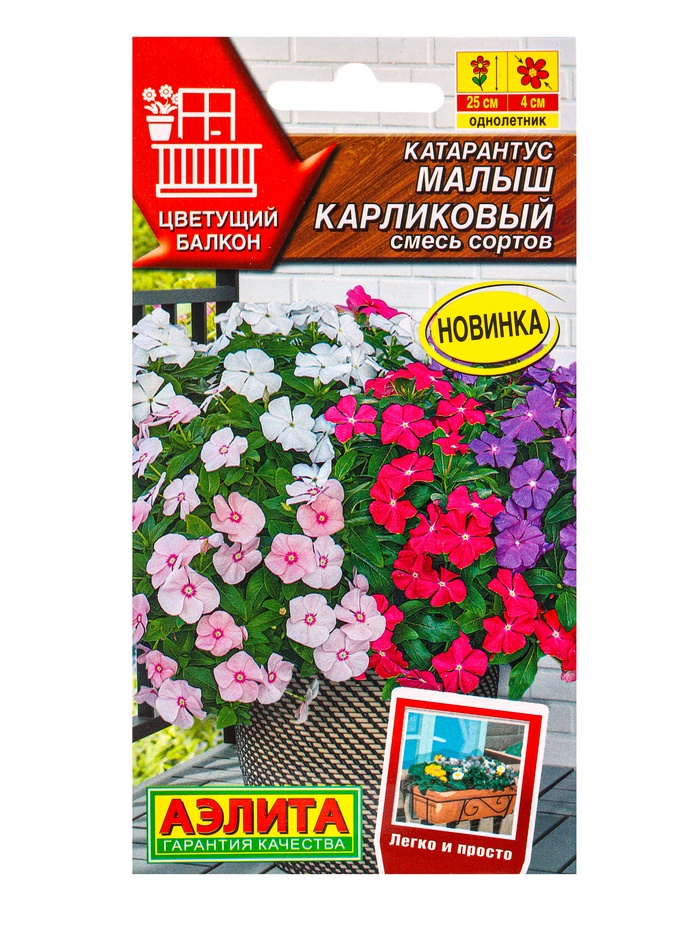 Семена цветов Катарантус «Малыш карликовый» смесь, 0.05 г