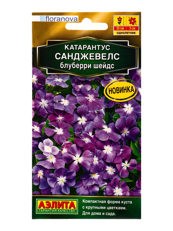 Семена цветов Катарантус «Санджевелс» блуберри шейдс «Золотая серия» 7 шт.