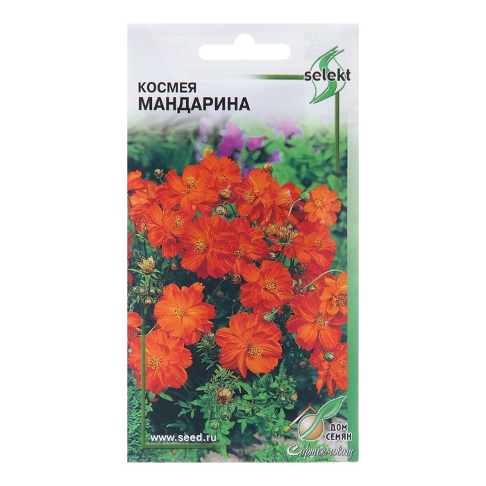 Семена цветов Космея «Мандарина», 10 шт., «Дом семян»