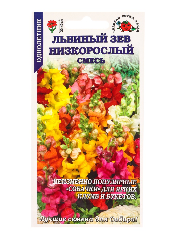Семена цветов Львиный зев «Низкорослый», смесь, 0.1 г, «Золотая Сотка Алтая»
