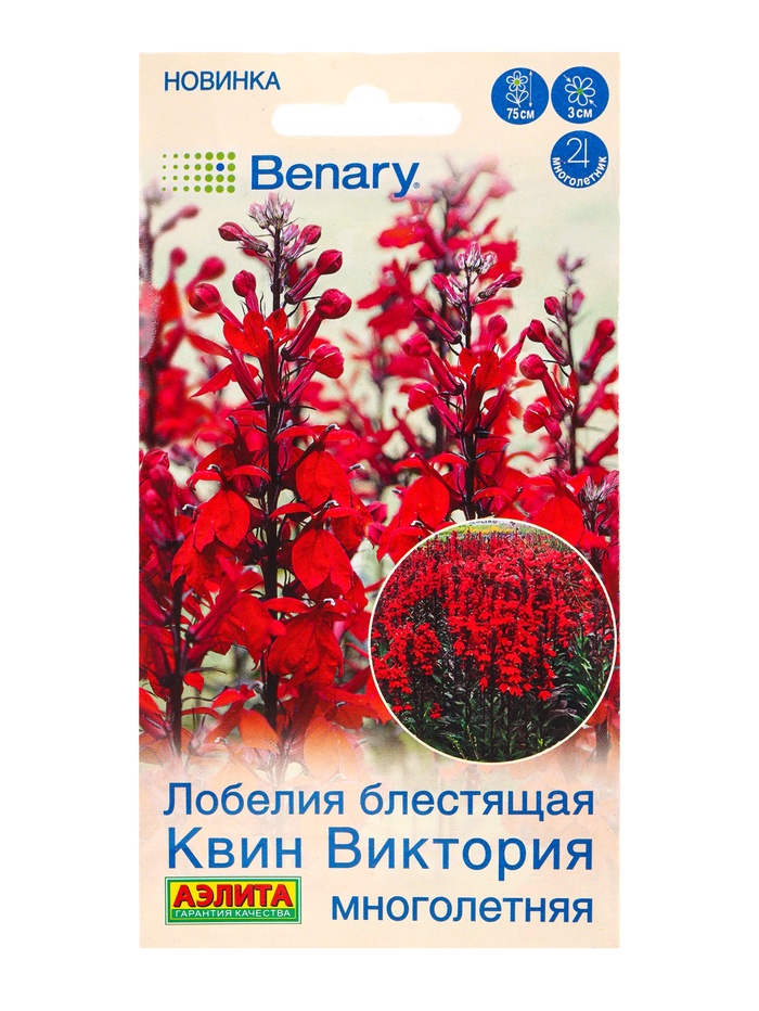 Семена цветов Лобелия блестящая «Квин Виктория» многолетняя, драже,7 шт.
