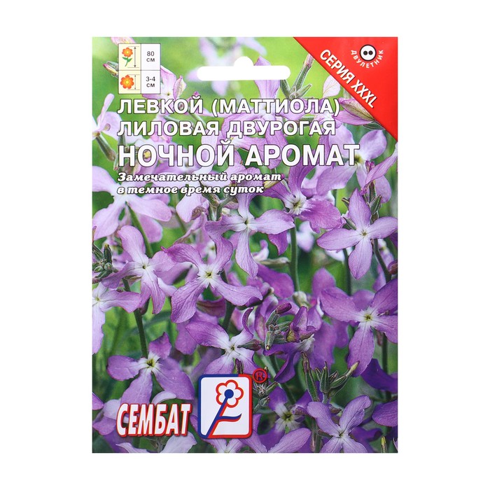 Семена цветов Маттиола «Ночной аромат», XXXL, «Сембат», 4 г