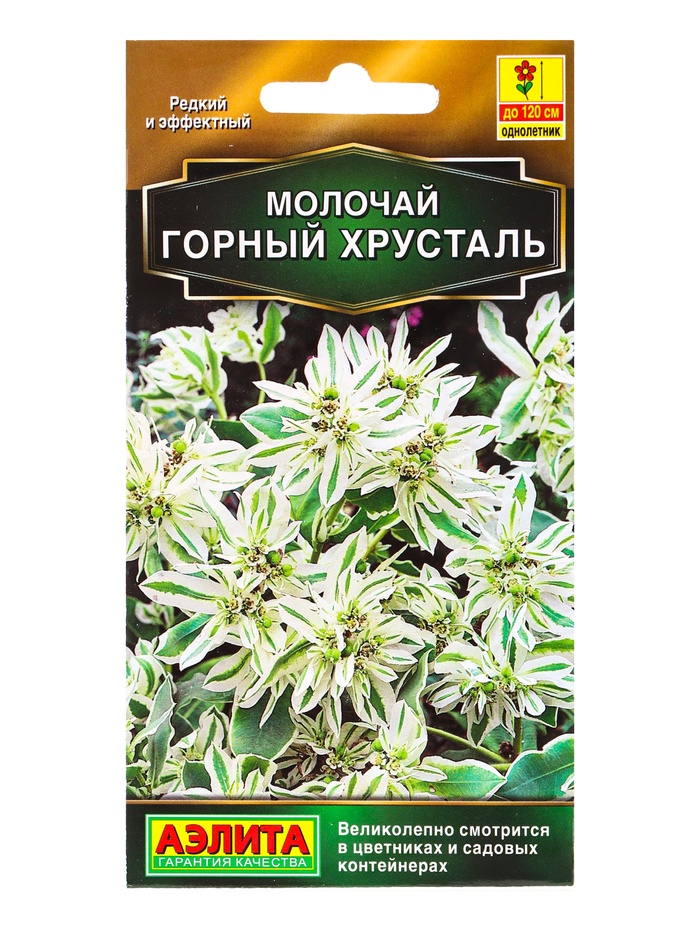 Семена цветов Молочай «Горный хрусталь» 20 шт.