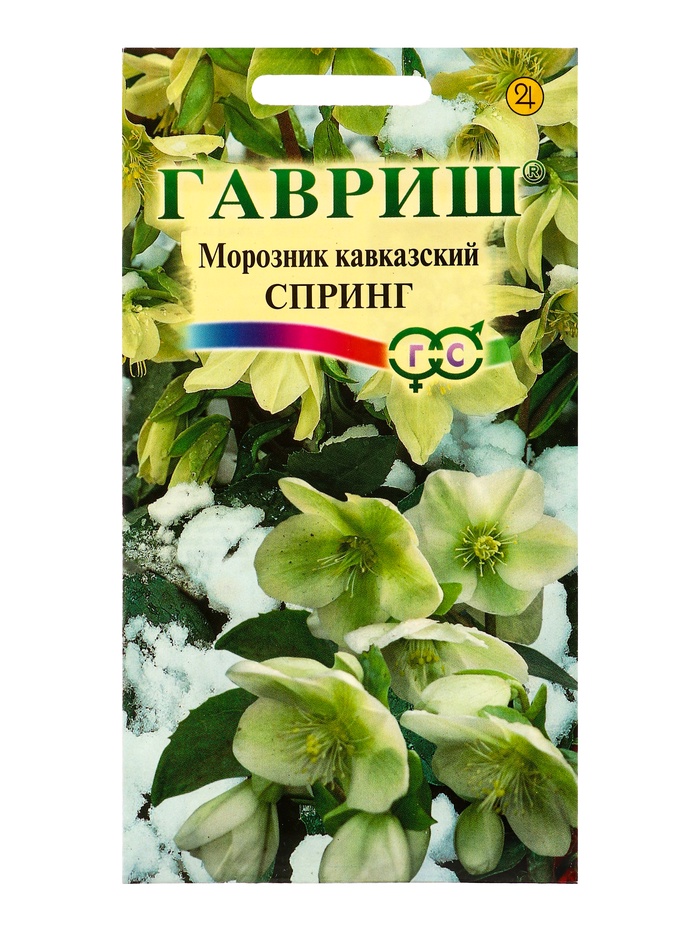 Семена цветов Морозник кавказский «Спринг» лимонно-зеленый, 0.1 г