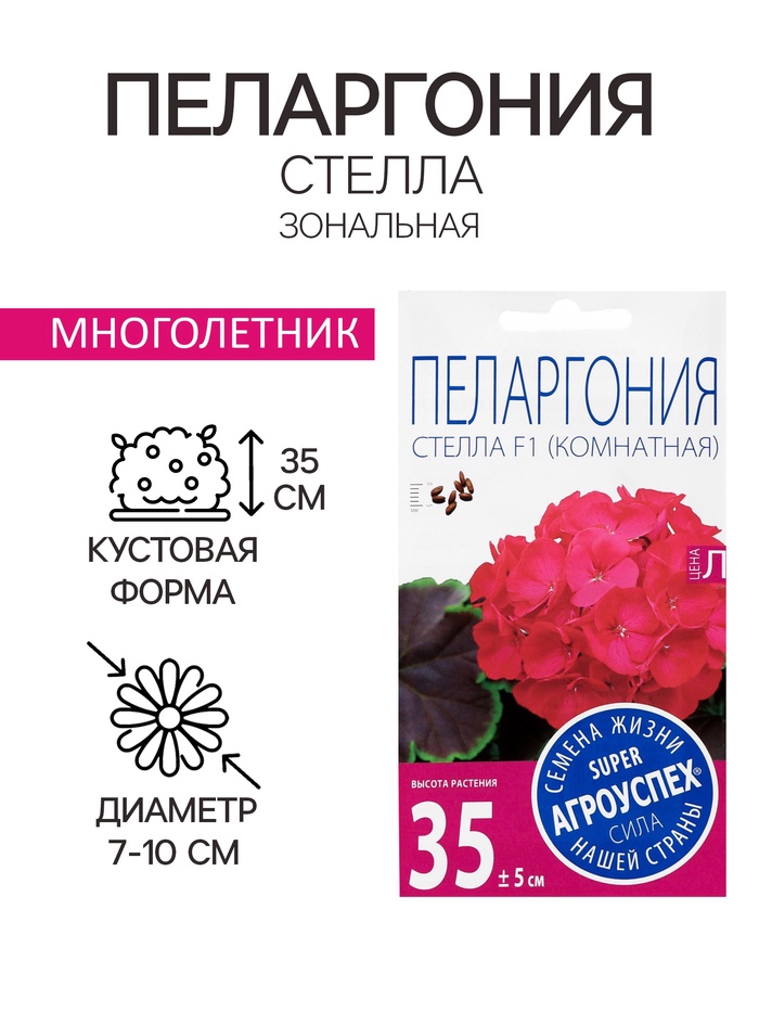 Семена цветов Пеларгония "Стелла", розовая с коричневым листом, F1, 4 шт