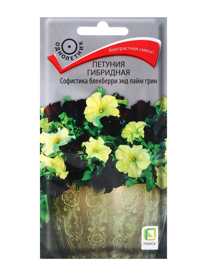 Семена цветов Петуния гибридная Софистика Блекберри энд лайм грин, 5шт