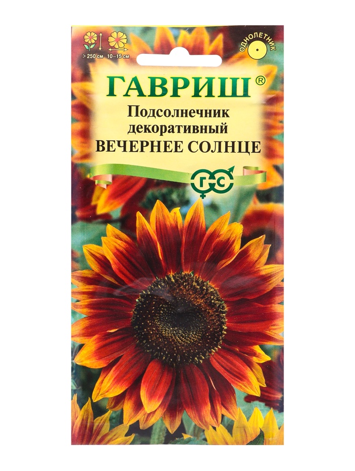 Семена цветов Подсолнечник декоративный «Вечернее солнце» 0.5 г
