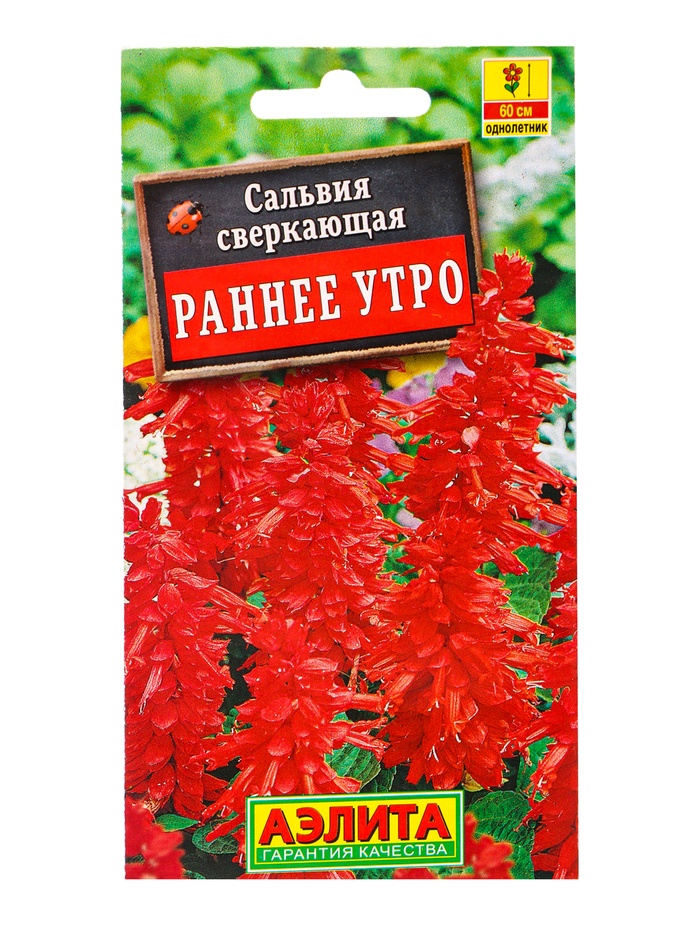 Семена цветов Сальвия «Раннее утро» 0.1 г