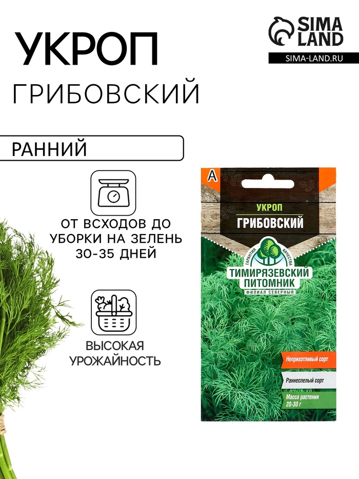 Семена Укроп "Грибовский" ранний, 3 г