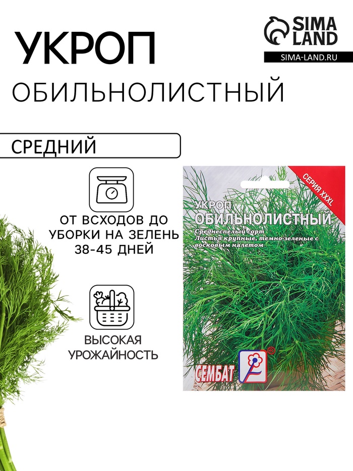 Семена Укроп «Обильнолистный», 20 г, «Сембат»