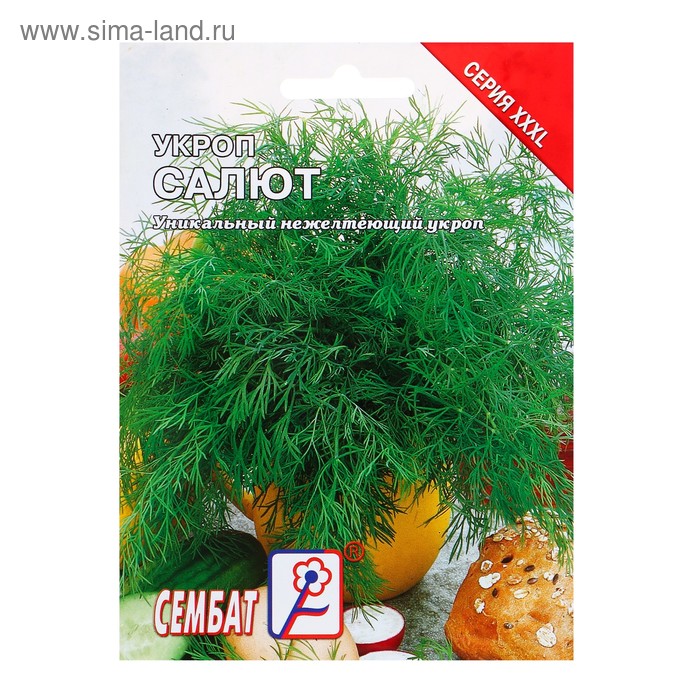 Семена Укроп «Салют», XXXL, «Сембат», 10 г