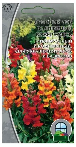 Семена Ваше хозяйство Львиный зев Волшебный ковер смесь, 0,2 г