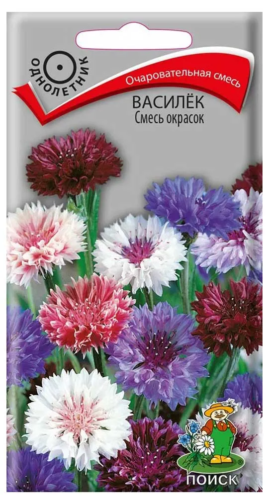 Семена Василек Поиск Смесь окрасок, 1 г