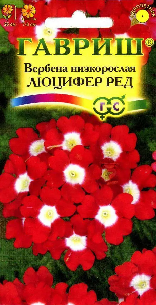 Семена Вербена Гавриш Люцифер ред, 0,1 г