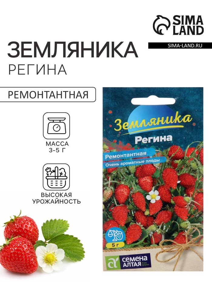 Семена Земляника «Регина», ремонтантная, 0.03 г, «Семена Алтая»