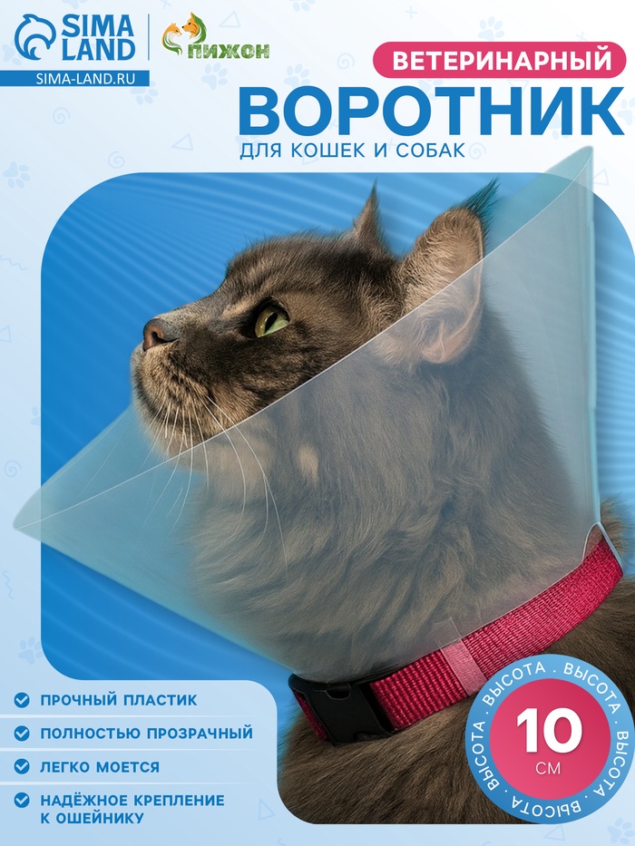 Ветеринарный воротник с креплением на ошейник, ОШ 9-19 см, высота 10 см, без ошейника