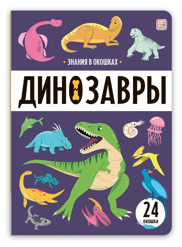 Знания в окошках